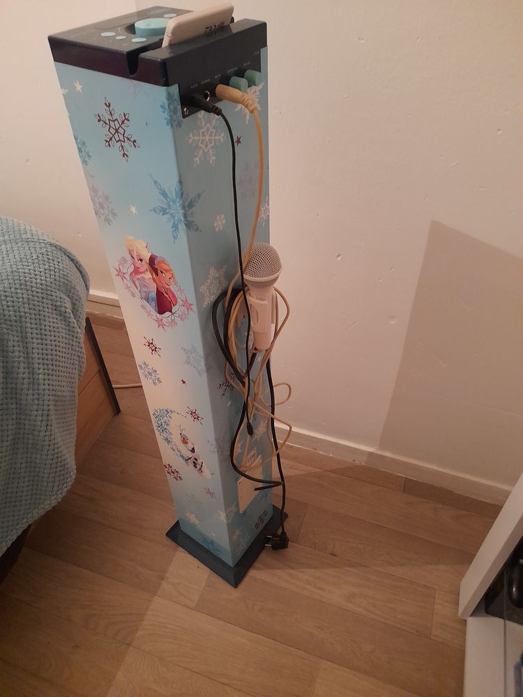 Enceinte reine des neiges 30 Saint-Max (54)