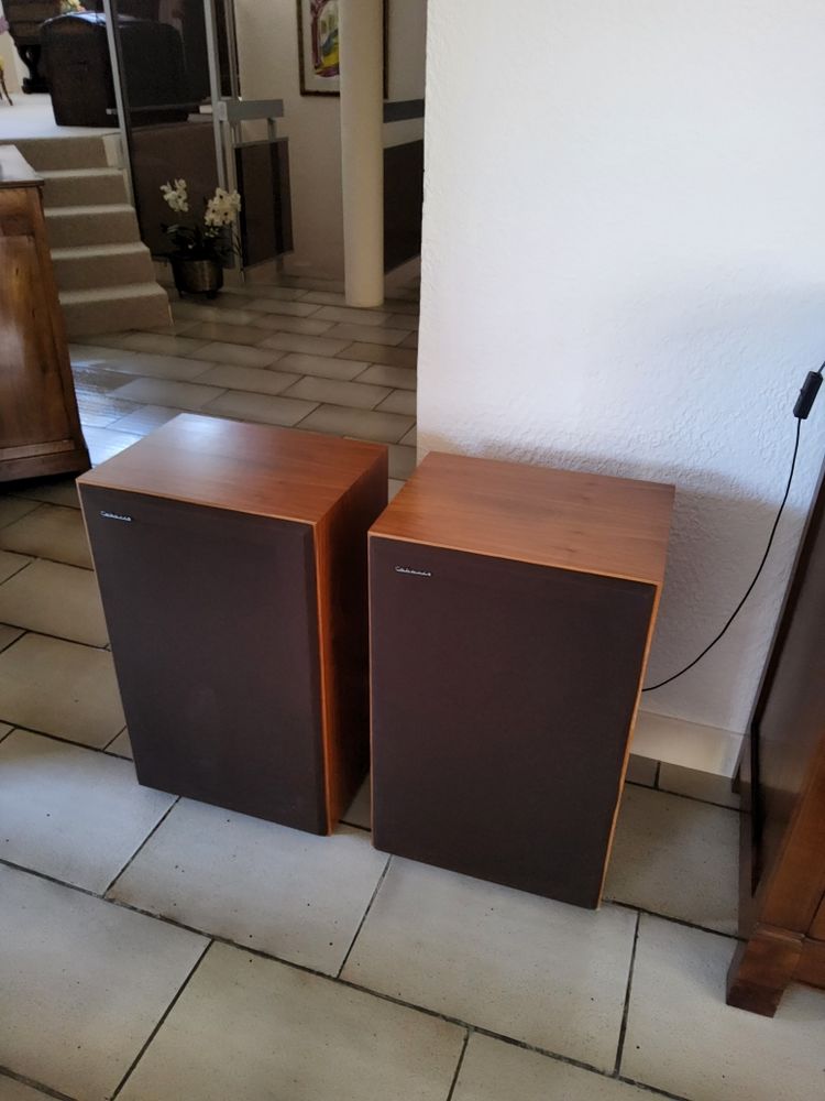 enceintes cabasse 310 M17 250 Luzy (58)