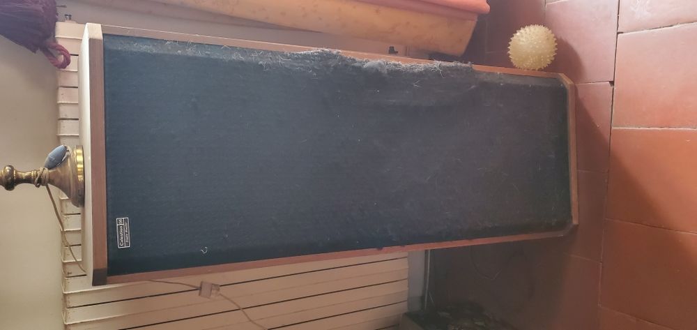 Enceintes Celeston DITTON 66 (gauche et droite) 600 Vichy (03)