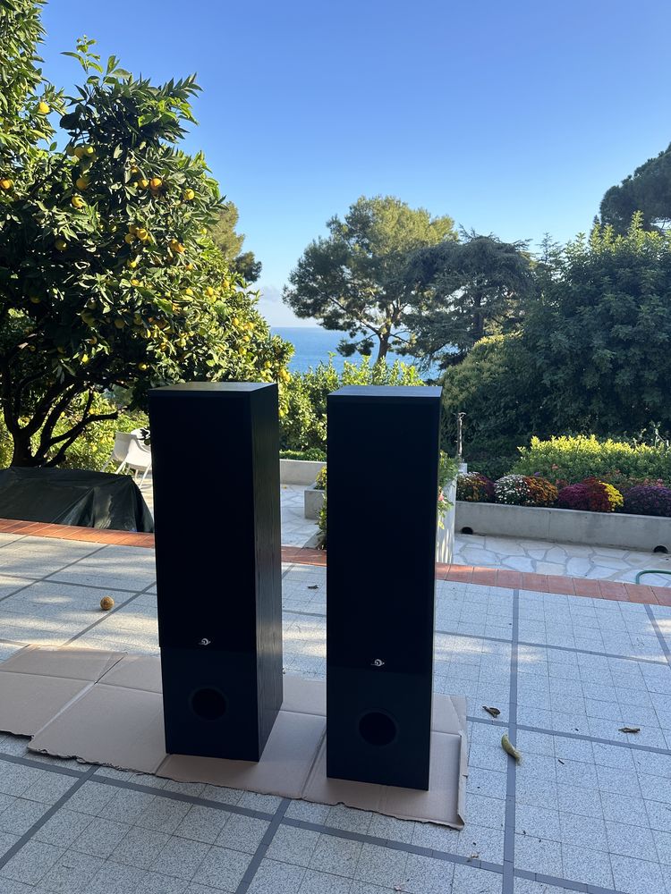 Enceintes Colonnes Dynalab Audio Technologies SDA 2.8 NEUF! 350 �ze (06)