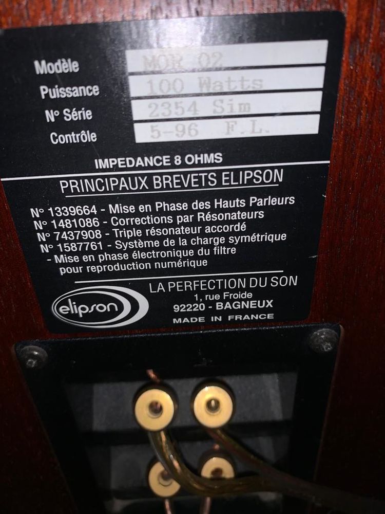 Enceintes colonnes Morgane2 haut de gamme 300 Toulouse (31)