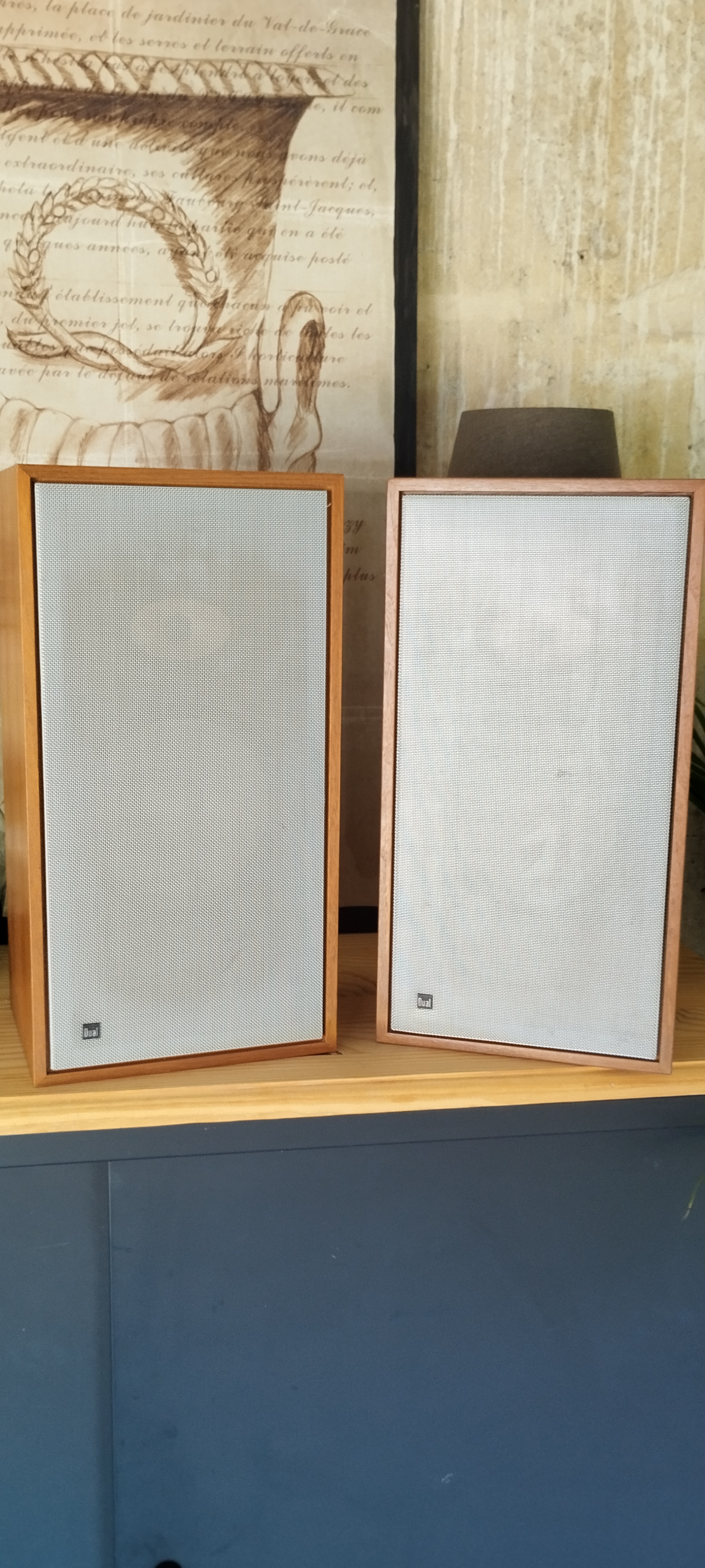 Enceintes DUAL cl140 200 Soissons (02)