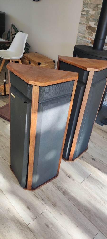 Enceintes haut de gamme Allison one vintage 450 Magny-les-Hameaux (78)