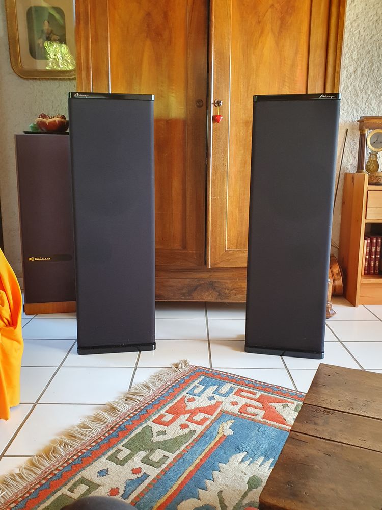 Enceintes HiFi de salon haut de gamme. 790 Bouliac (33)