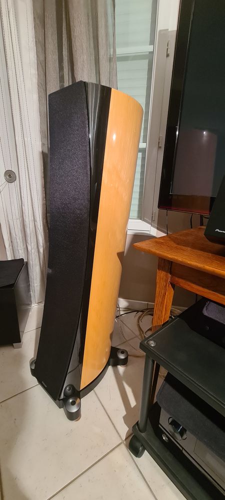 Enceintes Pioneer TAD S-EXQL 2050 Vulaines-sur-Seine (77)