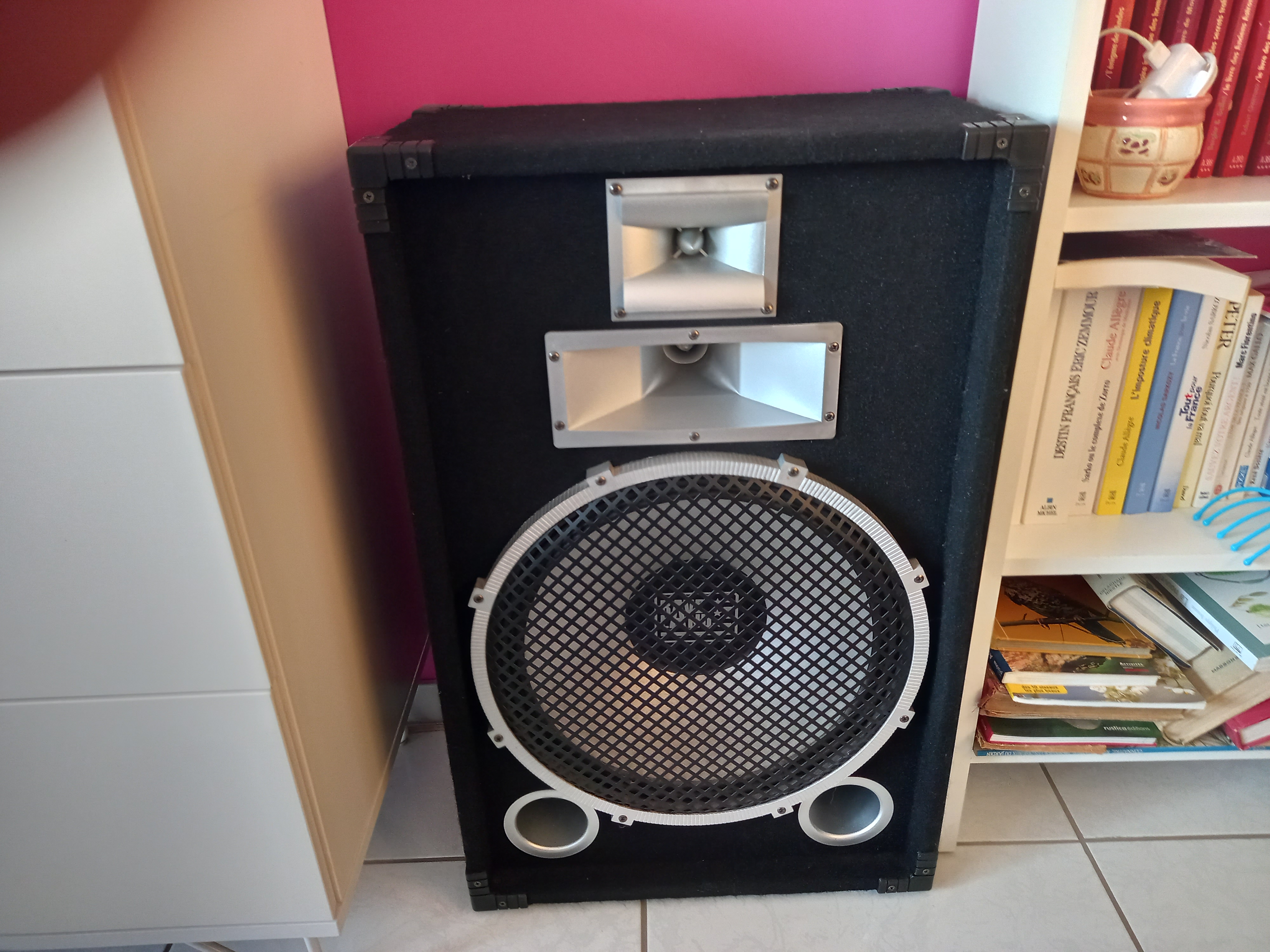 Enceintes sono 100 Tartas (40)