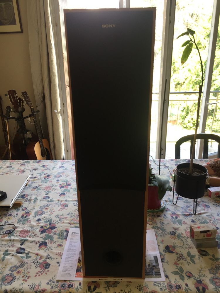 Enceintes SONY 100 Vitry-sur-Seine (94)