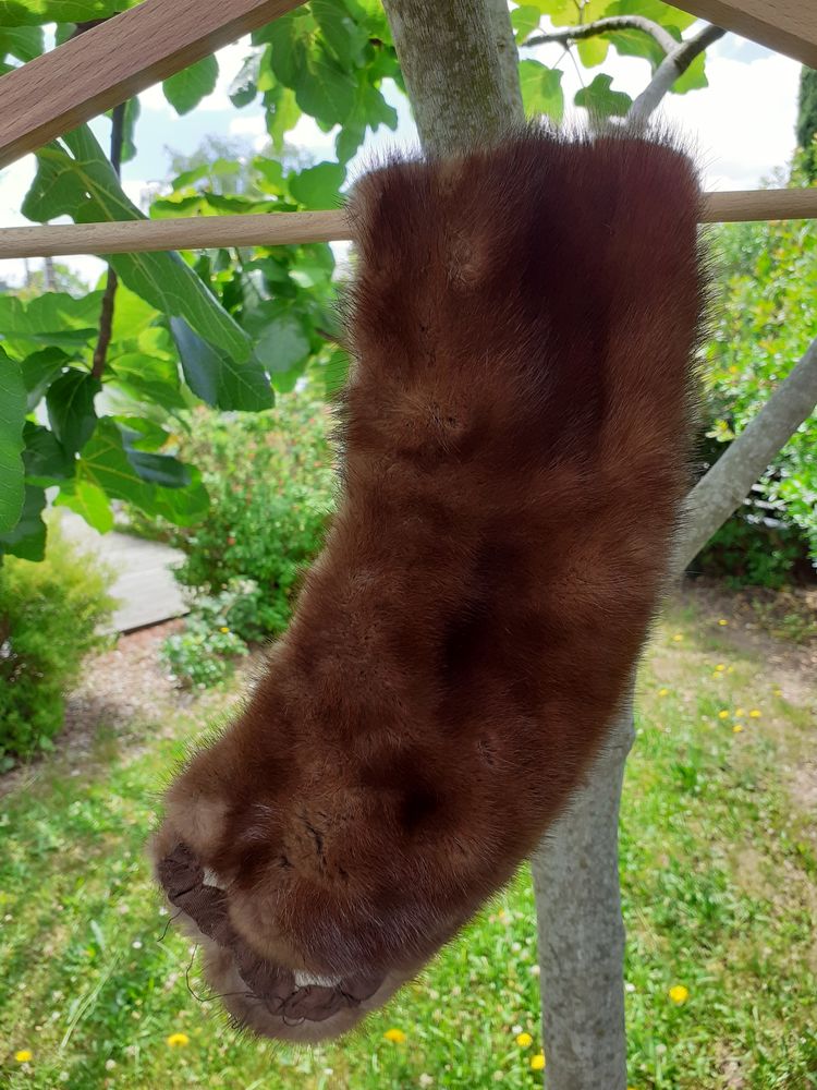  Encolure vison 0 Saint-S�bastien-sur-Loire (44)