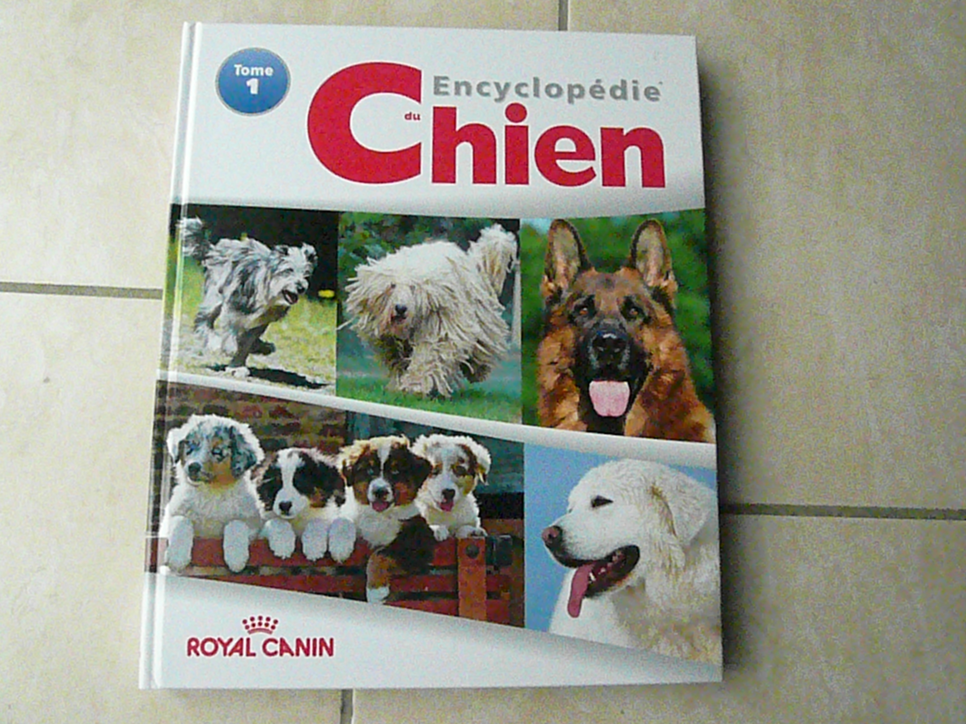 Encyclop�die du chien 15 Franqueville-Saint-Pierre (76)