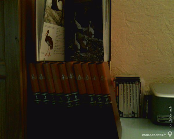 Encyclop�die 60 Auxerre (89)