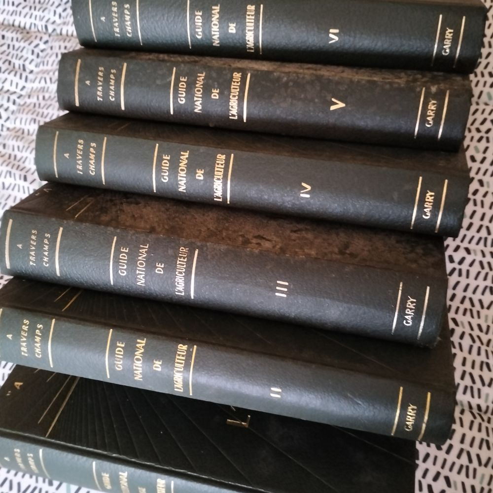 Encyclop�die 40 Roannes-Saint-Mary (15)