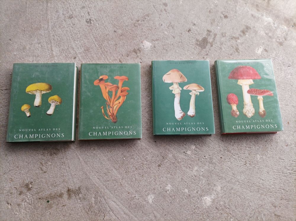 encyclop�dies 25 Hendaye (64)