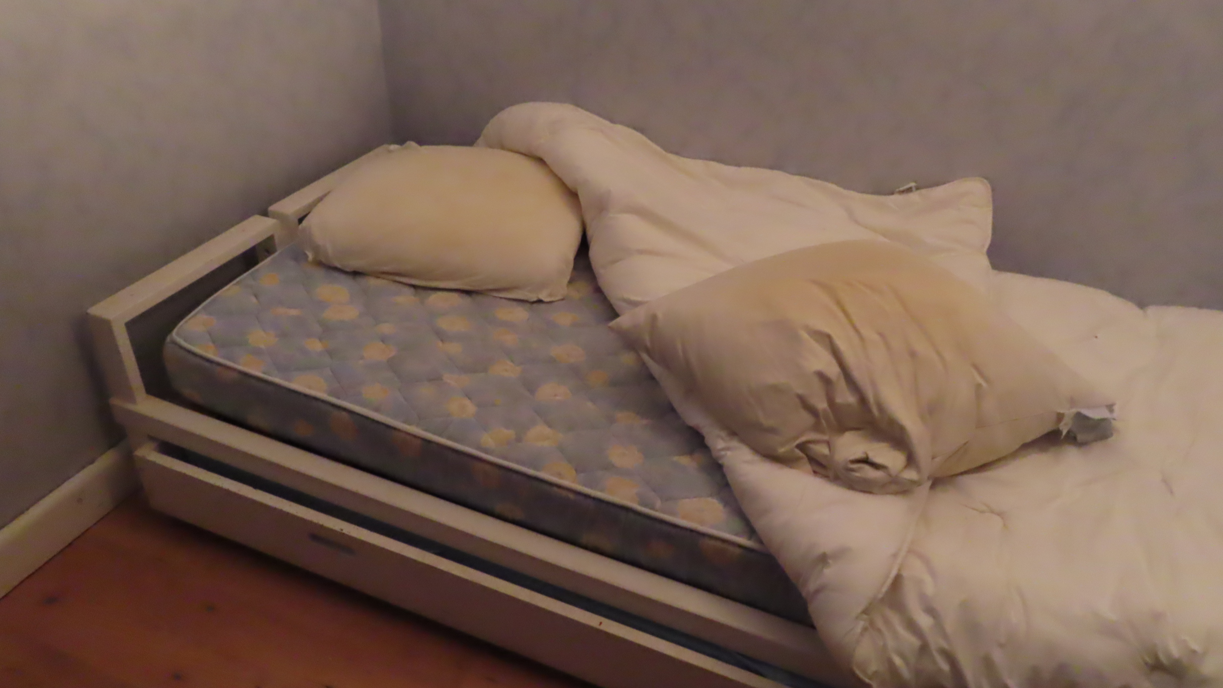 lit enfant , avec tiroir en dessous 0 Jassans-Riottier (01)