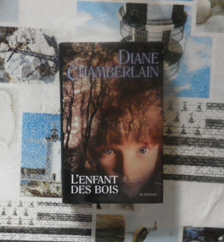 L'ENFANT DES BOIS de Diane CHAMBERLAIN 4 Bubry (56)