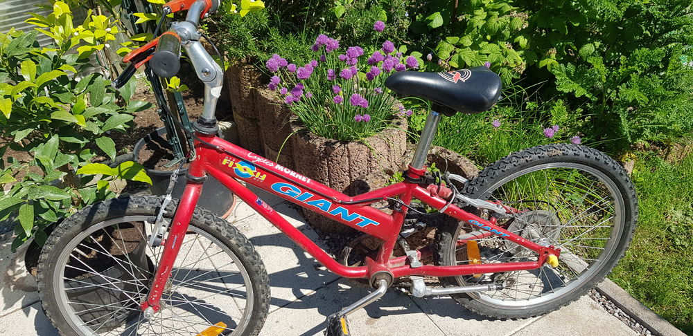 VTT enfant marque Giant � saisir 50 Morsbronn-les-Bains (67)
