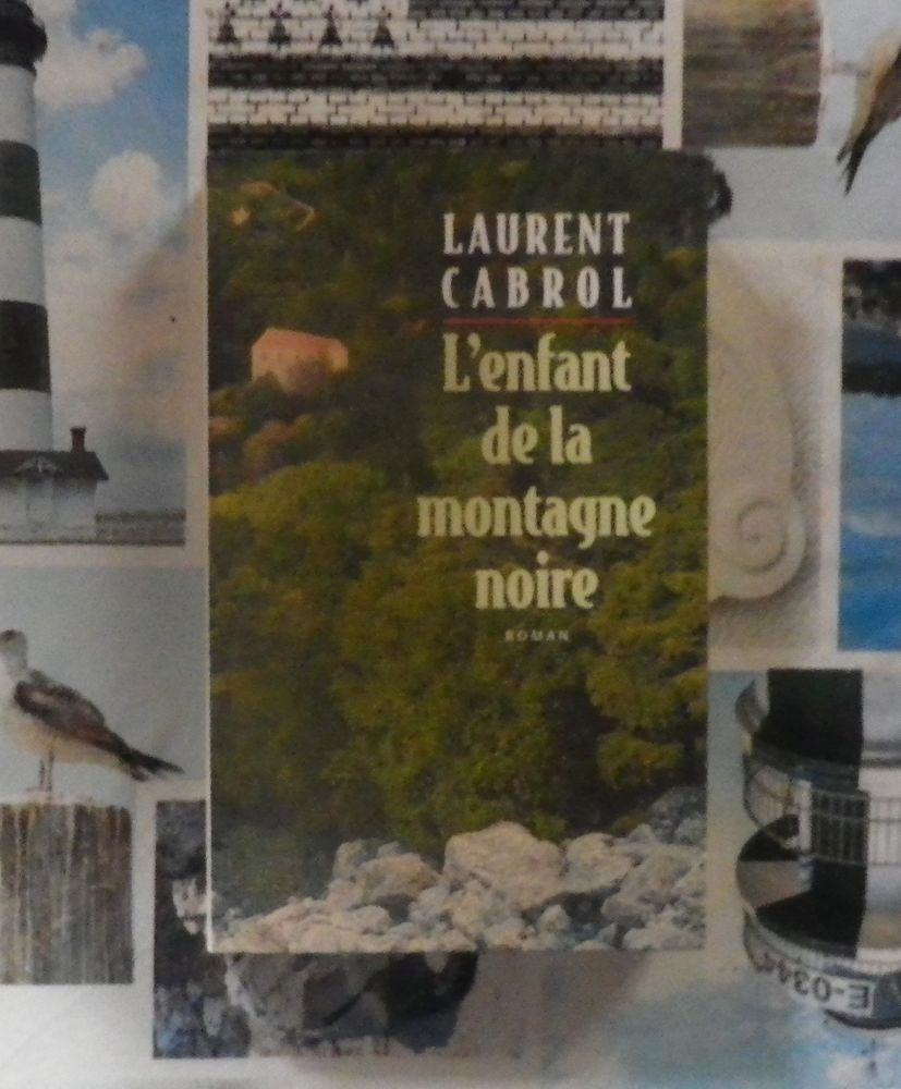 L'ENFANT DE LA MONTAGNE NOIRE de Laurent CABROL 3 Bubry (56)