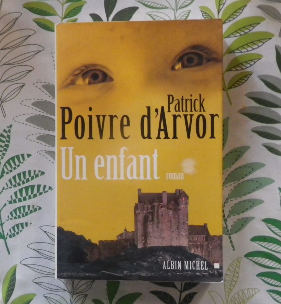 UN ENFANT de Patrick POIVRE D'ARVOR Ed. Albin Michel 2 Bubry (56)