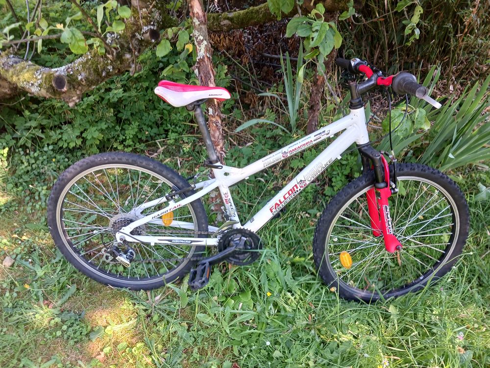 VTT ENFANT 50 Saint-Leu-la-For�t (95)