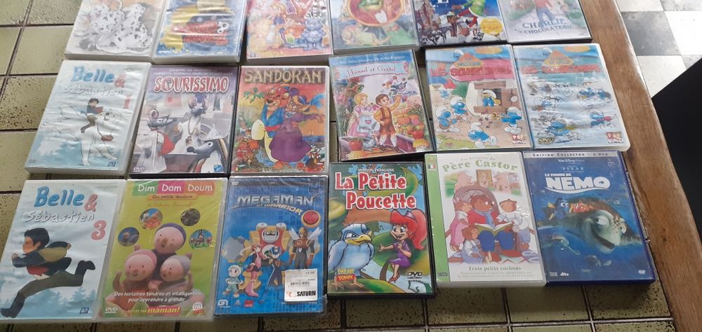 Dvd enfant 5 Bernay (27)