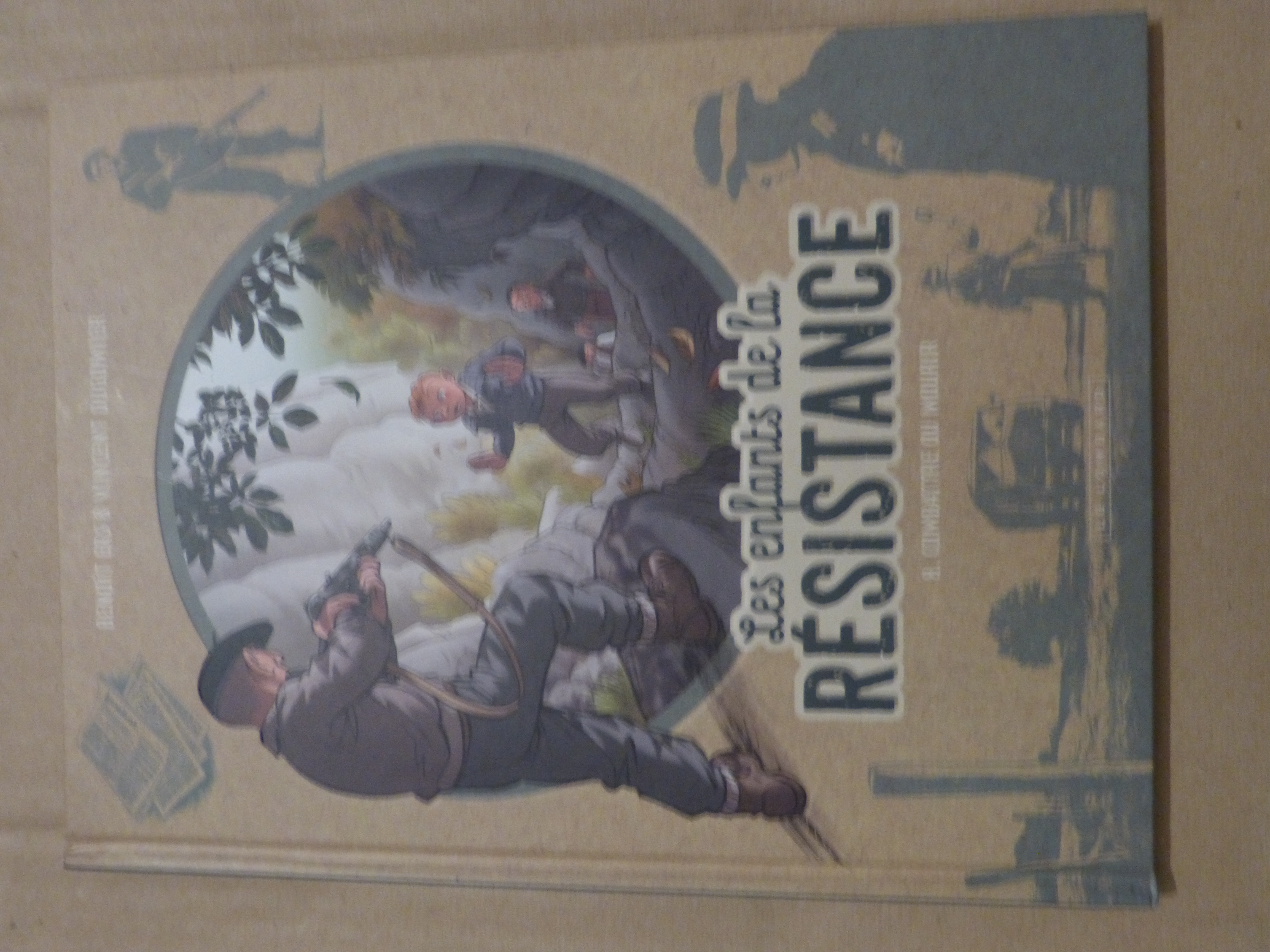 BD LES ENFANTS DE LA RESISTANCE  a choisir 1 Brest (29)