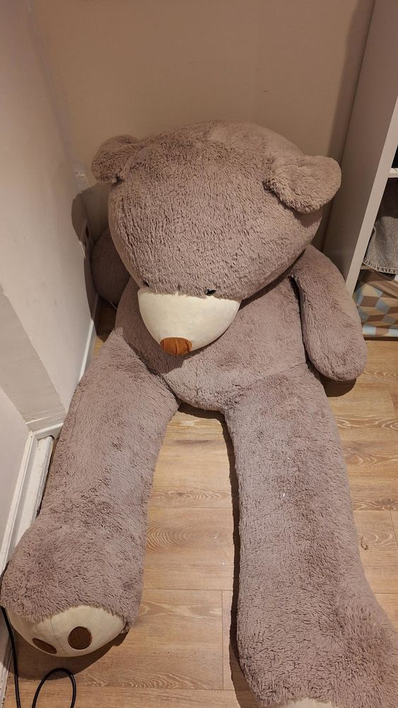 Enorme ours en peluche 2m 100 La Ciotat (13)