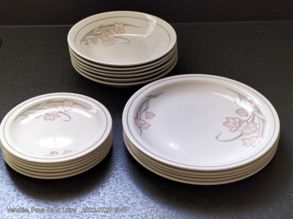 Ensemble Assiettes 8 La Roche-sur-Yon (85)