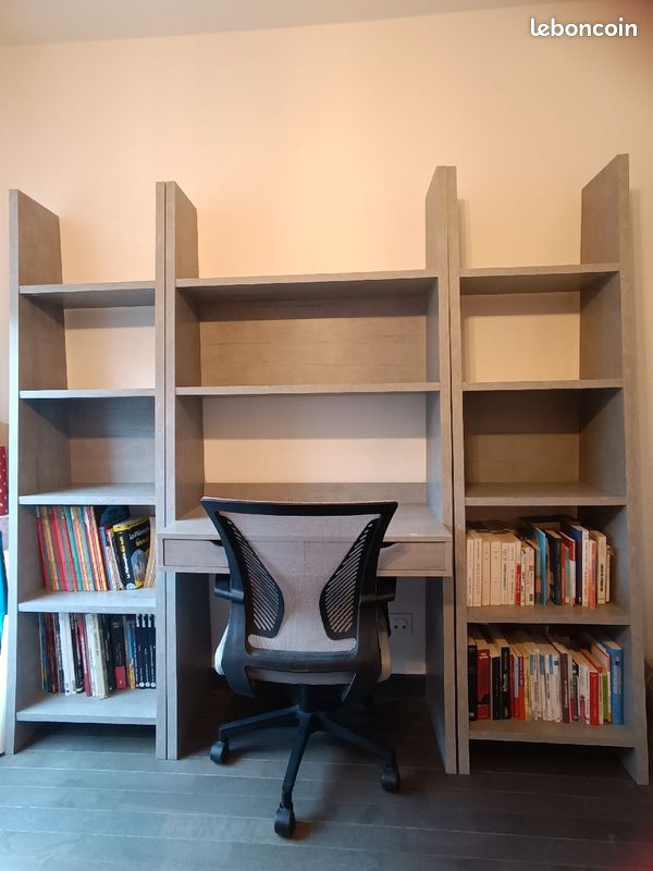 Ensemble Bureau + 2 �tag�res 150 Lyon 8 (69)