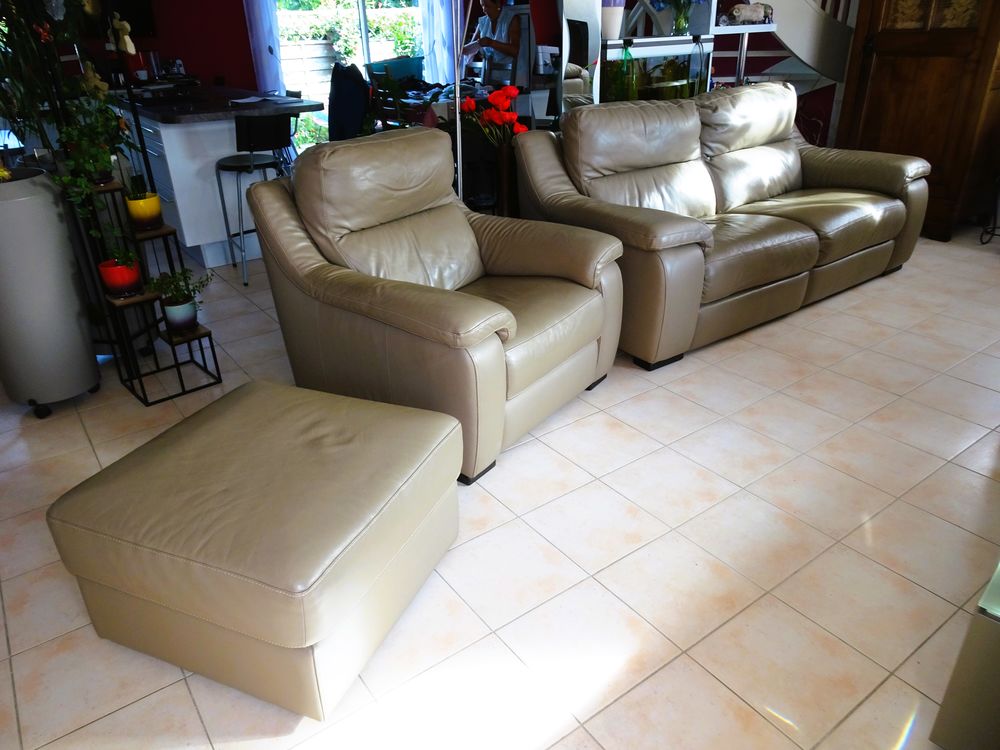 Ensemble Canap�, Fauteuil et Pouf en cuir 1 Saint-Philbert-de-Grand-Lieu (44)