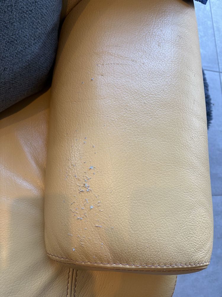 Ensemble canap�, fauteuil, bouffe, 4 places, cuir buffle 200 Bey (71)