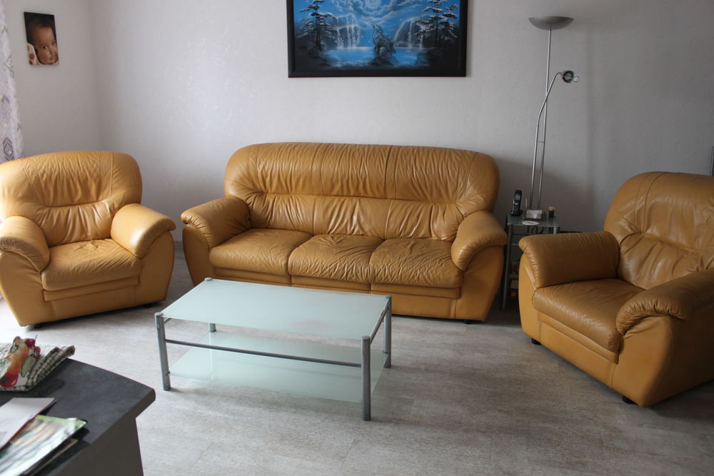 Ensemble canap� fauteuils 300 Pessac (33)