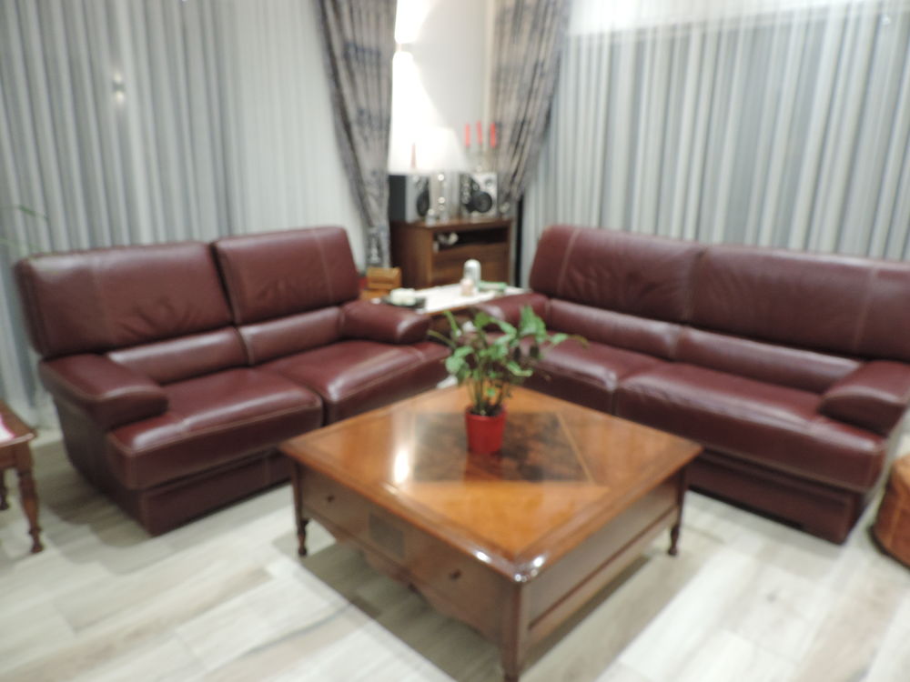 Ensemble de 2 canap�s cuir 450 Romorantin-Lanthenay (41)