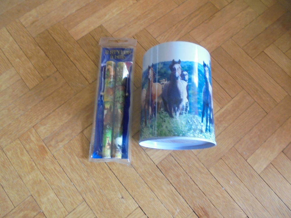 Ensemble cheval 1 (100) 5 Tours (37)