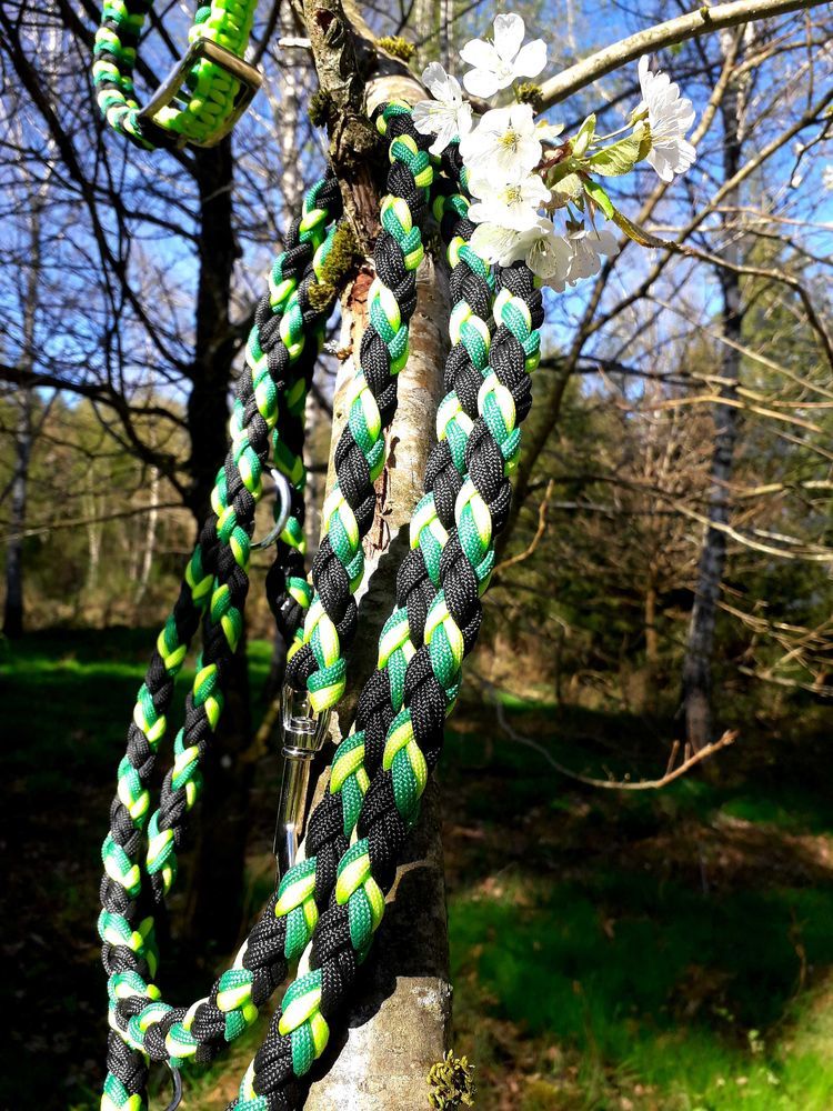 Ensemble collier et laisse 61 Saint-Di�-des-Vosges (88)