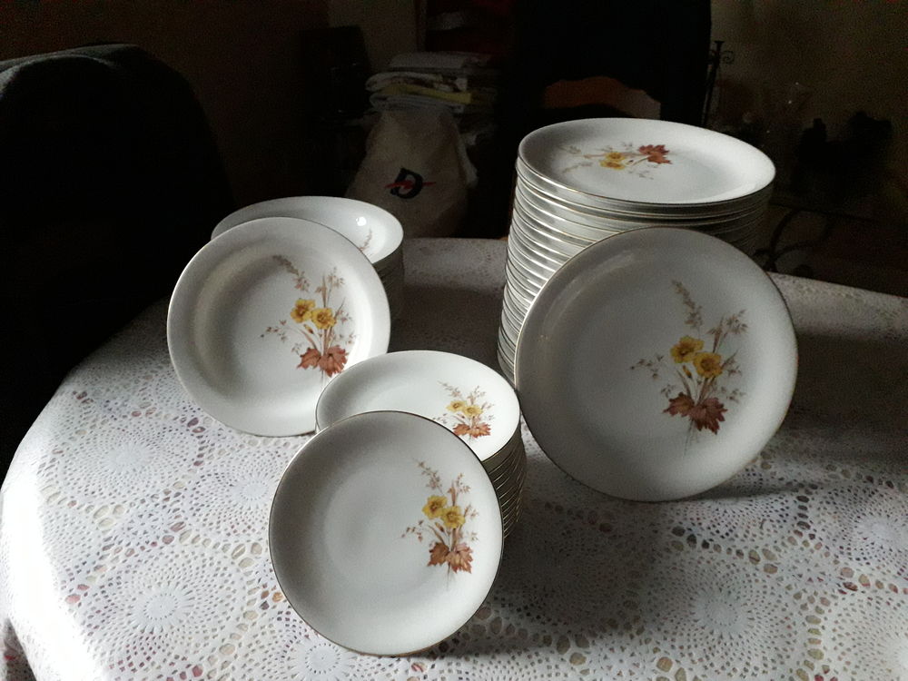 ENSEMBLE COMPLET DE VAISSELLE EN PORCELAINE DE 73 PI�CES 60 Boissy-Saint-L�ger (94)