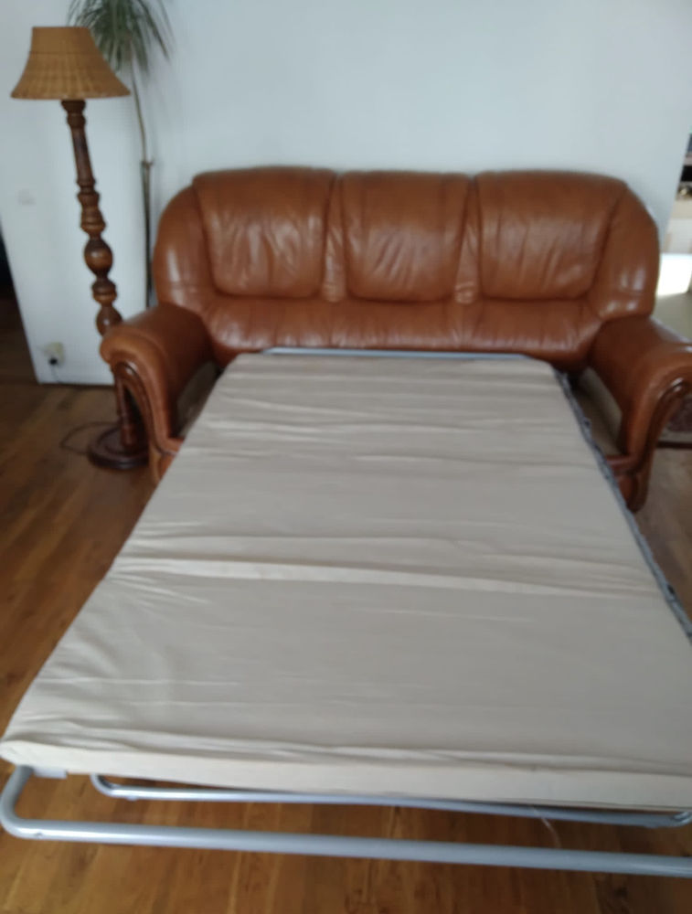 Ensemble fauteuil + canap� cuir convertible 350 Rueil-Malmaison (92)