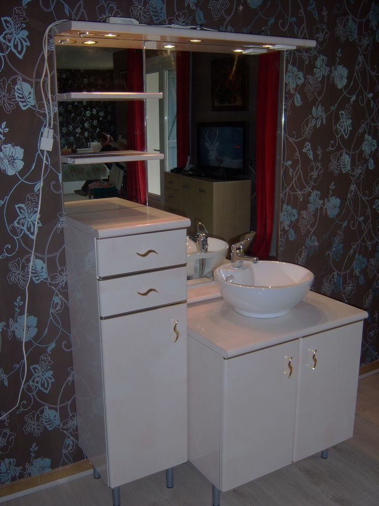 Ensemble meuble SDB d'�b�niste excellent �tat 600 Cazouls-l�s-B�ziers (34)