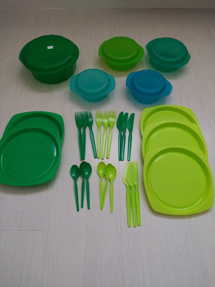 ensemble set pique nique 5 Saint-Senier-sous-Avranches (50)