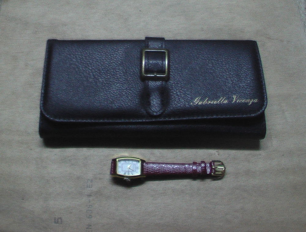 ensemble pochette portefeuille et montre Gabriella Vicenga
15 Clermont-Ferrand (63)