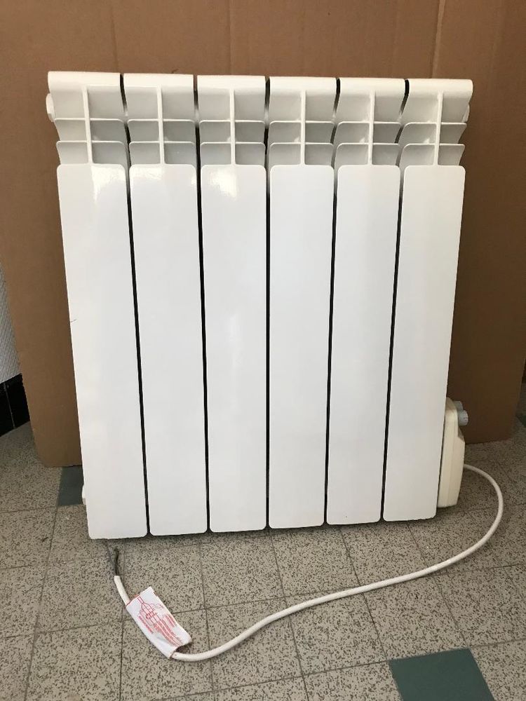 ensemble de 2 radiateur électriques 1000 W 50 Trélissac (24)