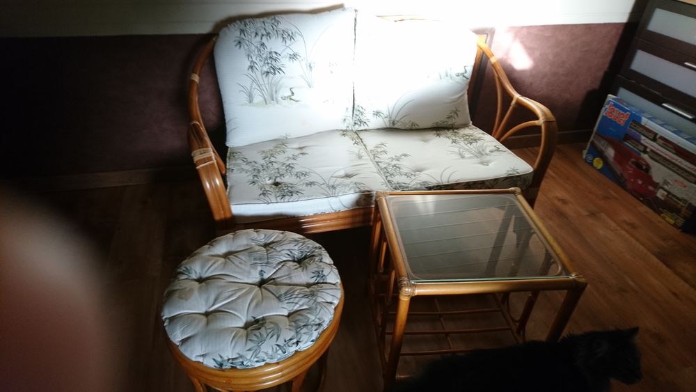 d'un ensemble en rotin 100 Orl�ans (45)