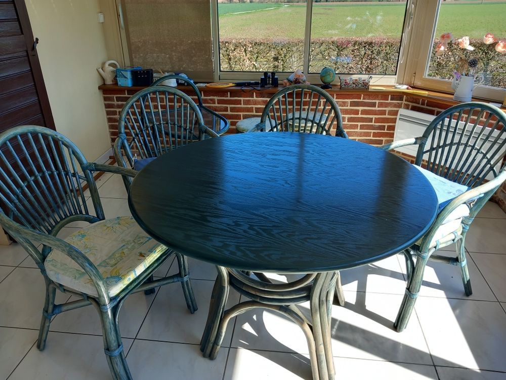 Ensemble en Rotin 500 Canehan (76)