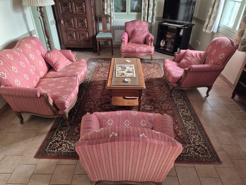 Bel ensemble de salon 0 Troo (41)