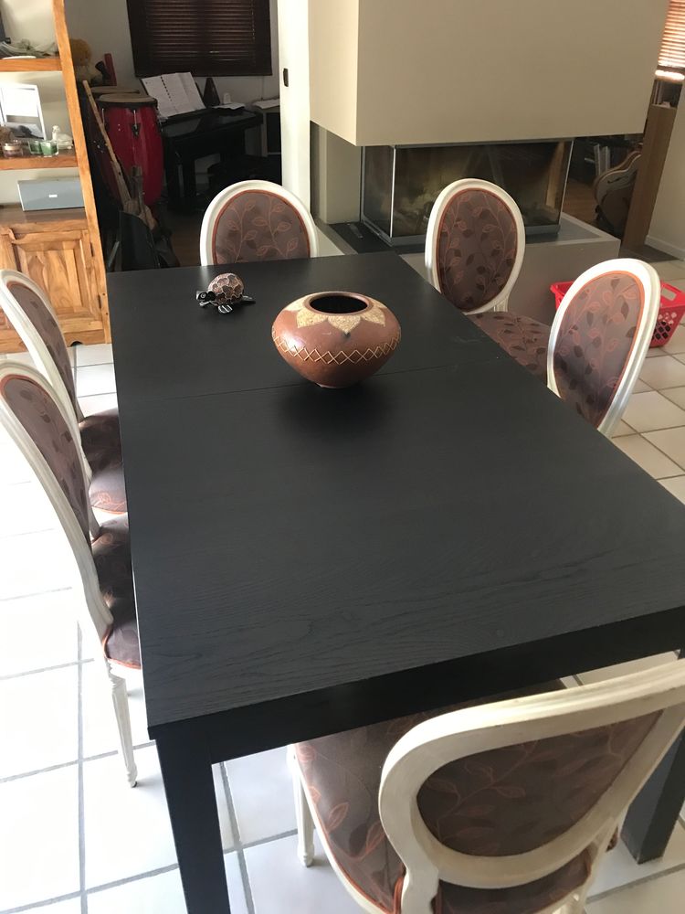 Ensemble table de s�jour + 6 chaises 0 Saint-Cl�ment-de-Rivi�re (34)