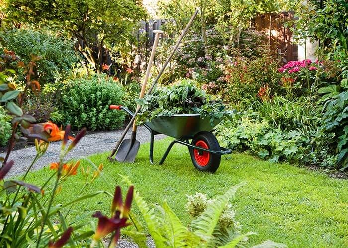 Entretien de jardin 20 Varades (44)