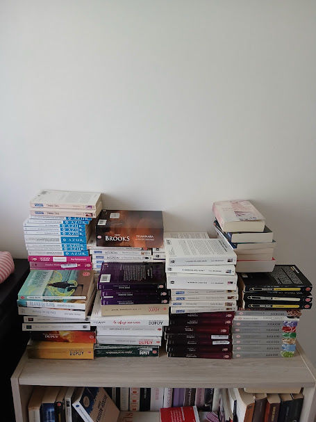 Lot d'environ 100 livres d'occasion ? romans et divers 100 Dinan (22)