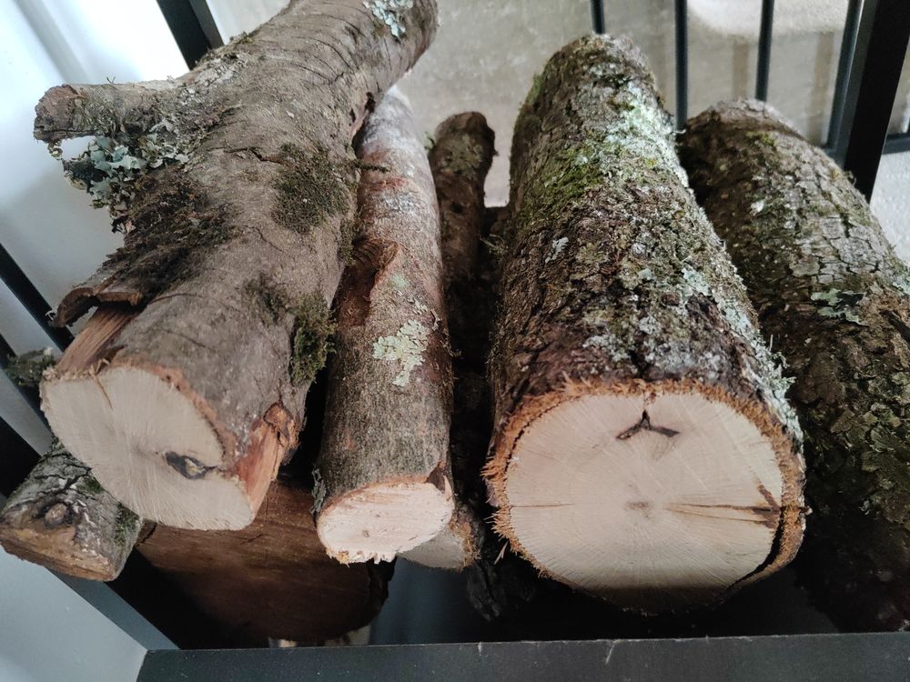 Environ 4 st�re de bois de chauffage 375 Draguignan (83)