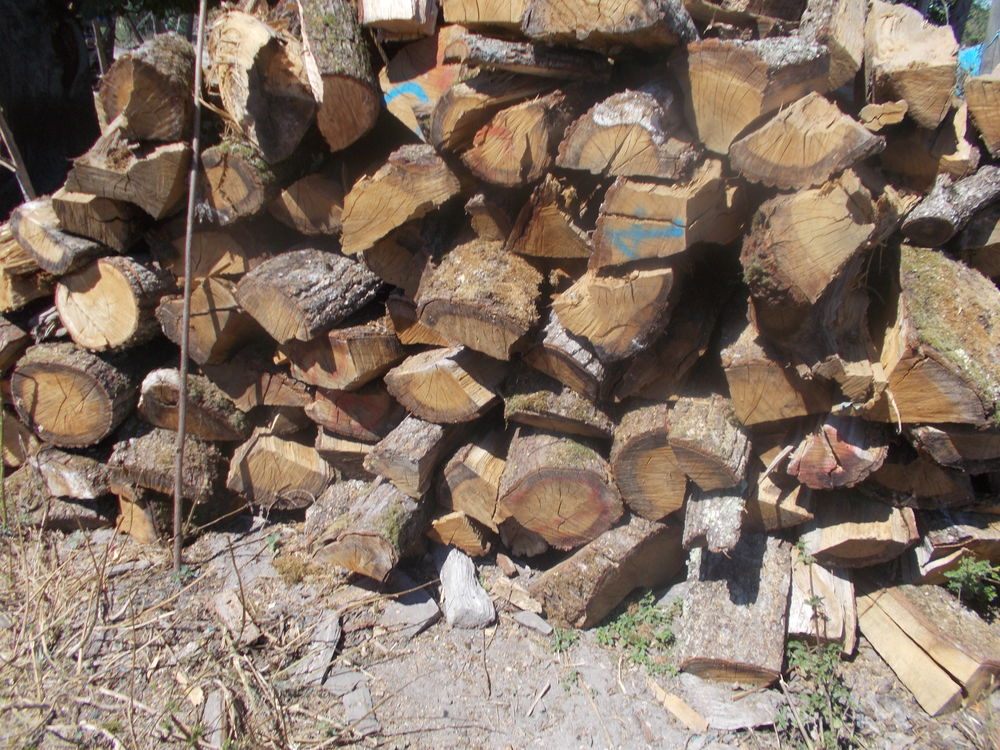 environs 6 stères gros bois tète chène 45 Dornes (58)