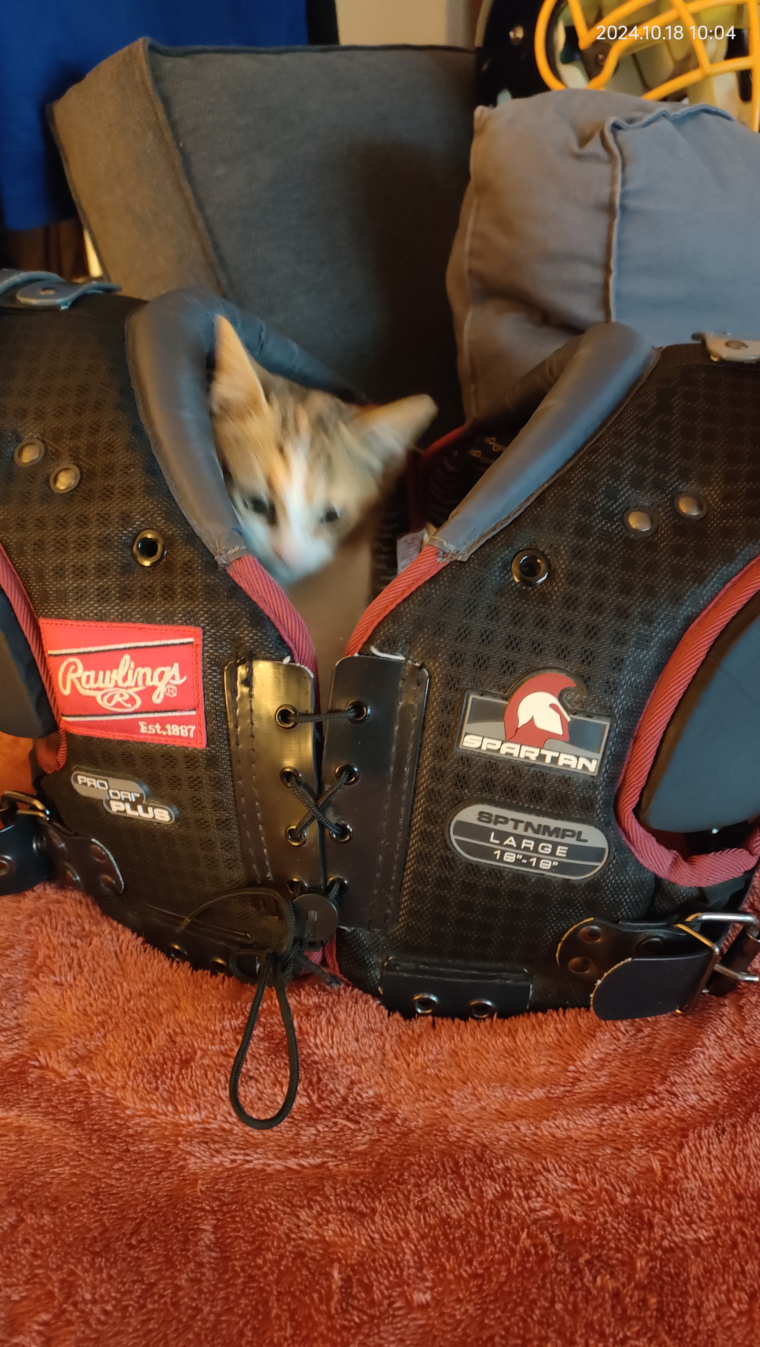 �pauli�res Football us rawlings 80 Paris 19 (75)