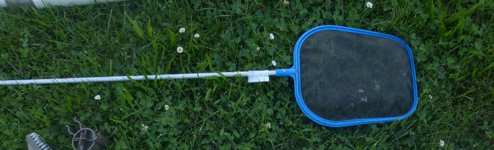 EPUISETTE pour PISCINE (toute) neuve 10 Doussard (74)