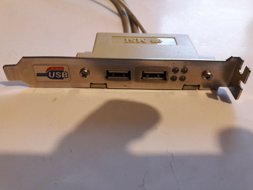 Equerre slot pour 2 ports USB 2.0  MSI 6 Milhaud (30)